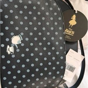 Kate Spade Alice in Wonderland